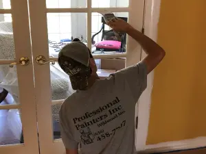 Professional Painters Inc